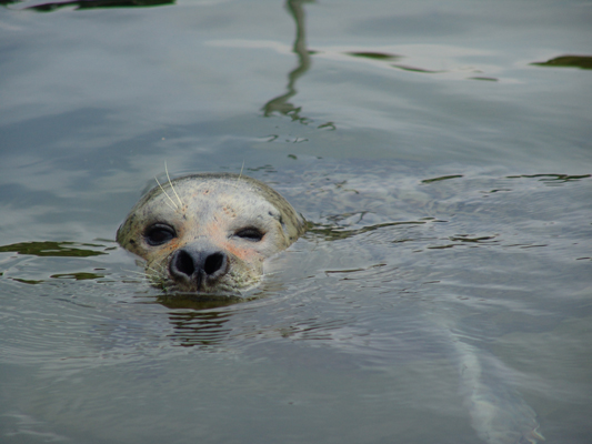 ... und einem Natur-Zoo, wo es viel zu entdecken gibt!